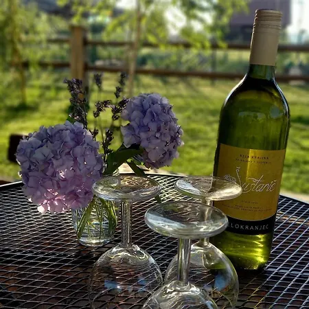 Počitniška hiša Pig Barn - Svinjaki Krasinec