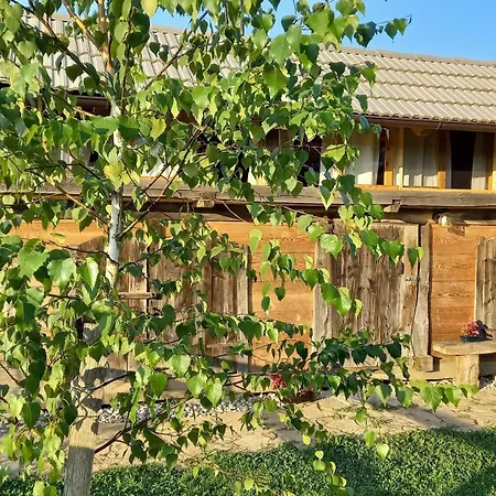 Pig Barn - Svinjaki *