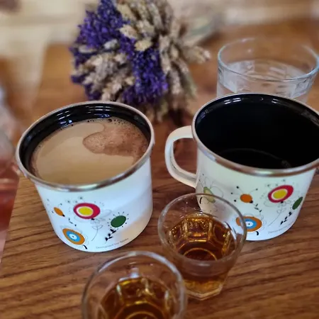 Pig Barn - Svinjaki Tatil Evi *