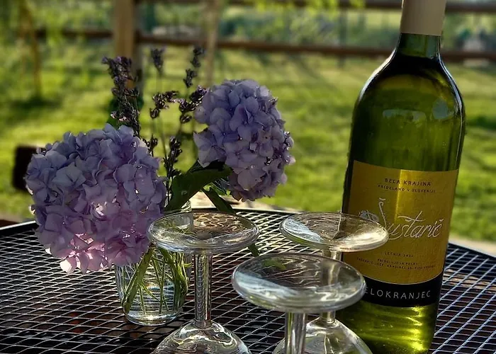 Casa vacanze Pig Barn - Svinjaki Krasinec