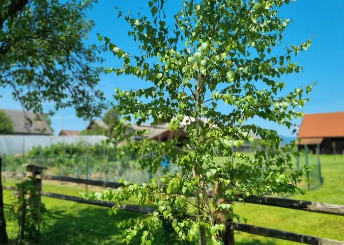 Casa vacanze Pig Barn - Svinjaki