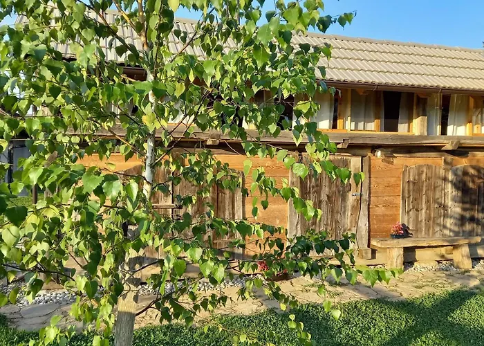 Pig Barn - Svinjaki *